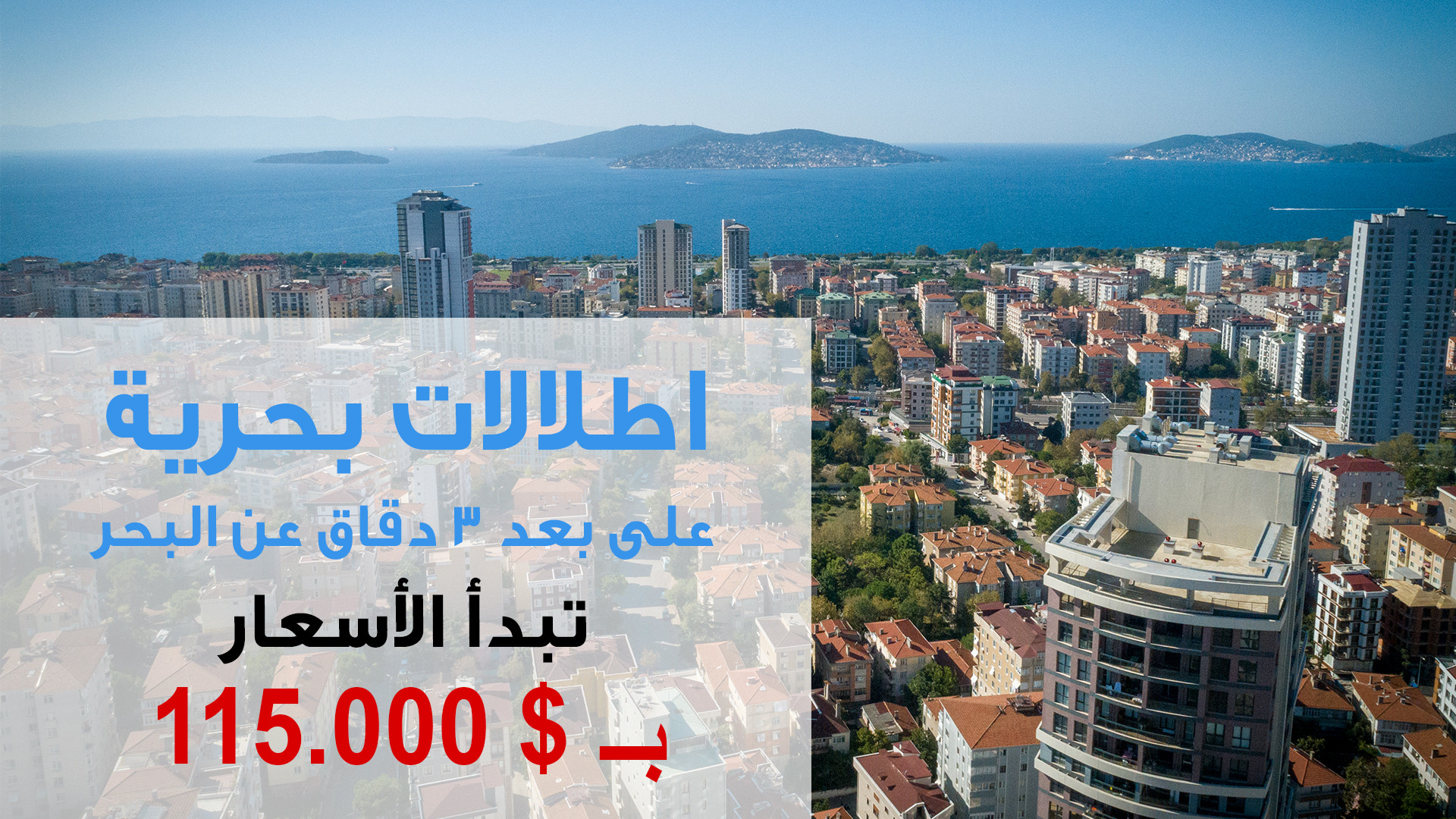 ريفرانس كارتال